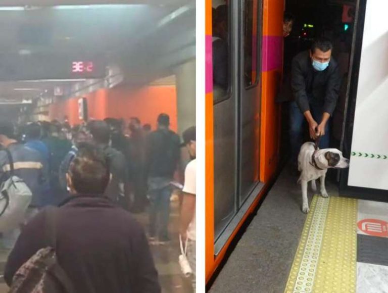 Se registran retrasos en el Metro por presencia de humo y rescate de un perrito
