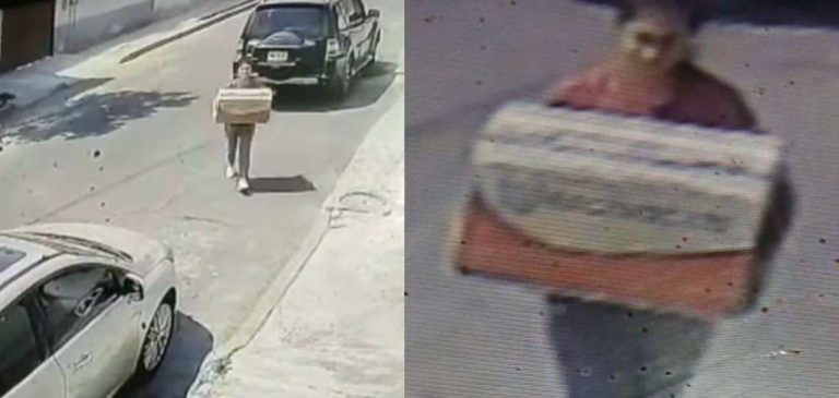 Así mujer abandona a cachorros en una caja en calles de Cdmx 1