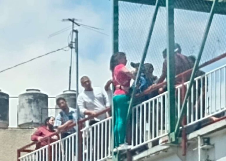 Mujer sube a puente peatonal sobre la vialidad López Portillo