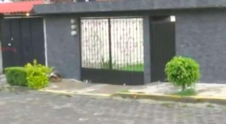 Ejecutan a un hombre en Coacalco; vecinos escuchan detonaciones