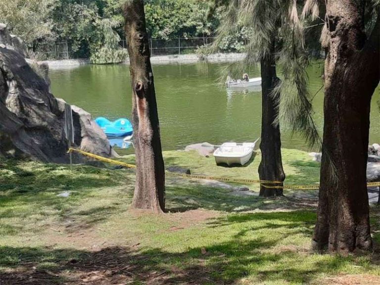 Hallan cuerpo flotando en lago del Bosque de Chapultepec