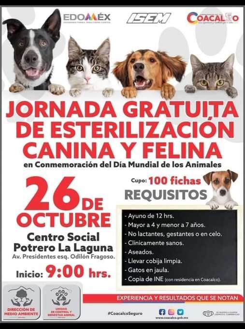 Coacalco realizara jornada de esterilización en perros y gatos 1