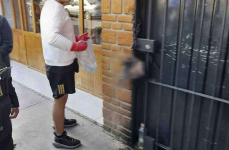 Halla vecina de Toluca cabeza de cerdo en la puerta de su hogar; es la segunda que le dejan