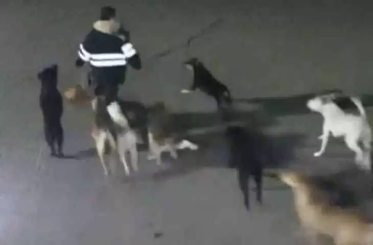 Hallan a hombre sin vida por una jauría de perros en Ixtapaluca