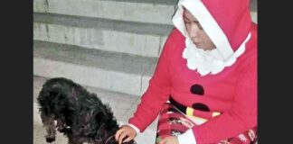 Prepara Santa Claus cena navideña para perritos de Ecatepec