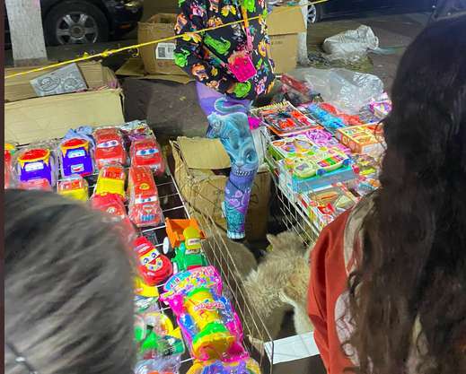 Captan vendedores de cachorros en bazar de Coacalco