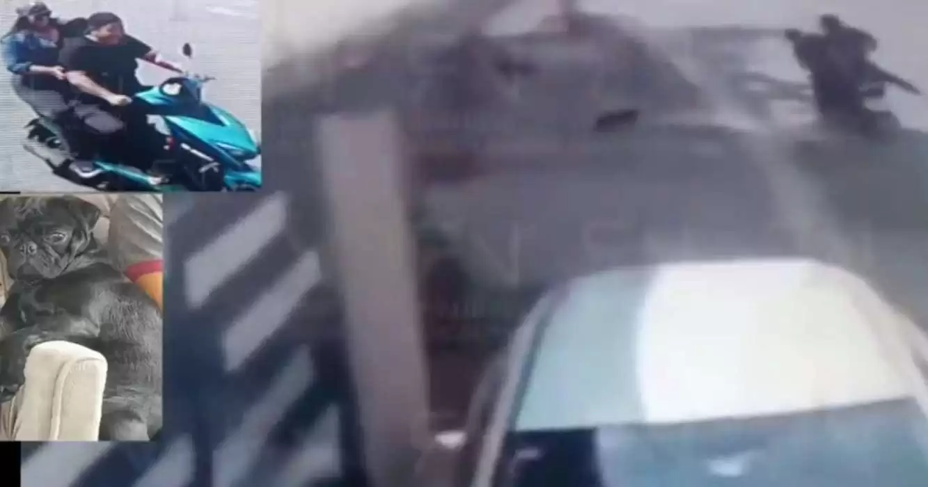 Graban a motociclistas robando a una perrita en calles de Naucalpan