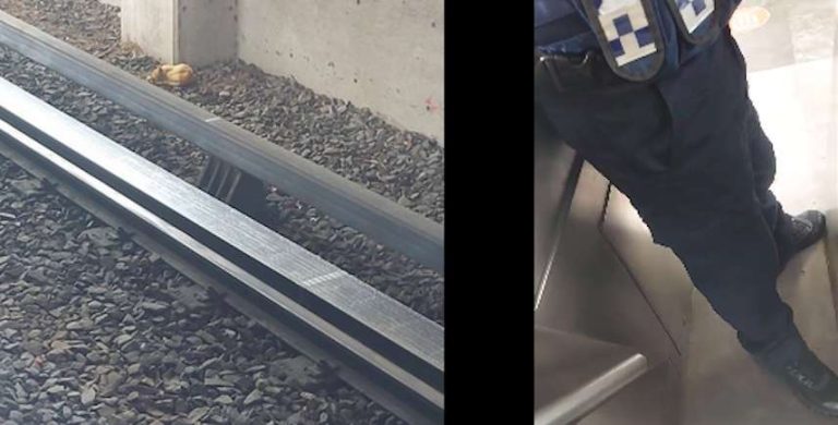 Equipos de rescate buscan salvar a un gato que cayo en las vías del metro