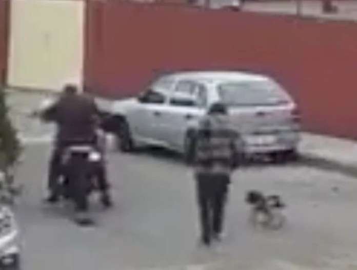 Policía Motorizado impacta a un Perrito en Naucalpan