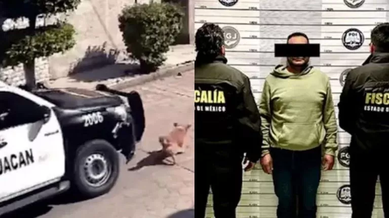 Detienen a policia que atropello a Peluche en calles de Chimalhuacan