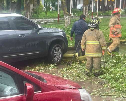 Inundaciones y árboles caídos, el saldo de las fuertes lluvias en Coacalco 1