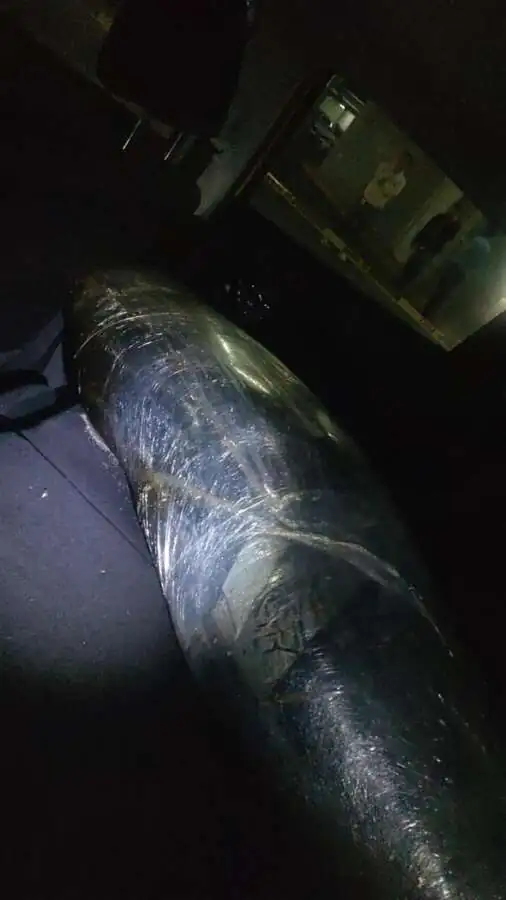 Hallan cuerpo emplayado en auto abandonado en plaza de Coacalco 2