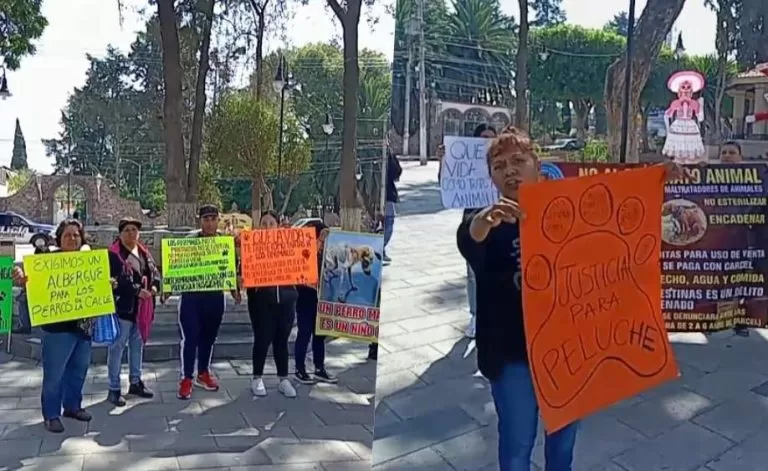Exigen justicia para perrito “Peluche”, en Chimalhuacán